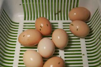 鸡蛋也洗干净备用