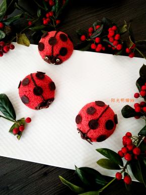 成品图。小瓢虫穿甲壳，