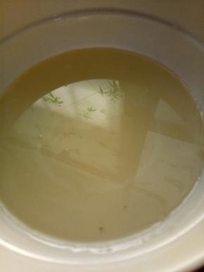 准备好油，我用了玉米油，你可以用黄油，更香，