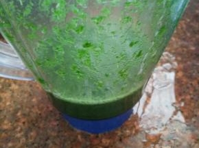 用料理机打成泥，取汁