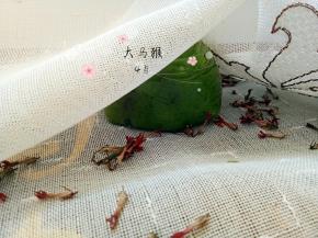 我为了方便拍照，包上了保鲜膜