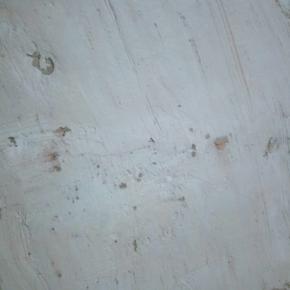 120克淡奶油加12克糖打发到裱花状态，然后加入5克可可粉拌匀，打开蛋糕卷抹薄薄的一层(这个因为我要年轮的感觉，所以只抹了很薄的一层)，然后卷起来