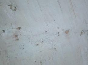120克淡奶油加12克糖打发到裱花状态，然后加入5克可可粉拌匀，打开蛋糕卷抹薄薄的一层(这个因为我要年轮的感觉，所以只抹了很薄的一层)，然后卷起来