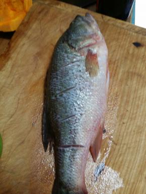 鲈鱼洗净去内脏加白胡椒，花雕酒，盐腌制10分钟左右。