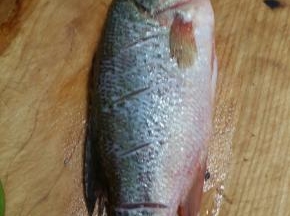 鲈鱼洗净去内脏加白胡椒，花雕酒，盐腌制10分钟左右。