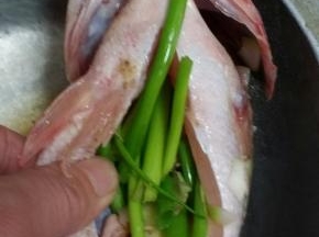 将葱段姜丝八角白胡椒盐填入肚里。