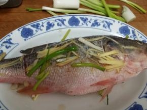 盘底放姜片葱段放鲈鱼。