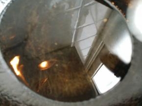 锅内加花生油烧热。