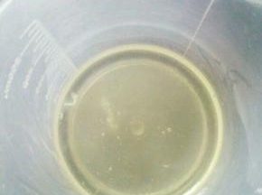蛋白倒进无水无油的容器里，最好小点的容器，到几滴柠檬汁或者白醋，没有可不放