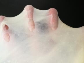 面团揉至粗膜状态加入黄油继续揉至扩展阶段，可以扯出较为结实的半透明薄膜，保鲜膜覆盖进行基础发酵。