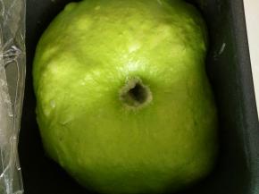 用手指粘面粉戳洞，不回缩不塌陷就发好了