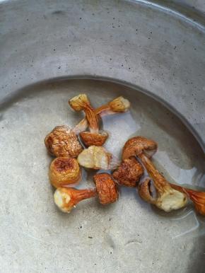 松茸泡发洗净备用。