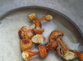 松茸泡发洗净备用。