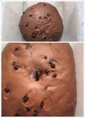 放在温暖处进行一发。发到两倍大。用手指沾面粉戳一个洞，不回缩不反弹就可以了。