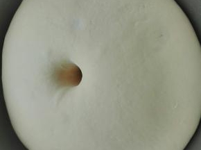 发酵至手指戳洞不回缩不塌陷即可