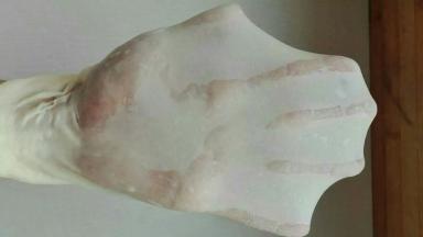 所有材料混合，揉至扩展状态进行室温发酵（如果不会快速揉出膜，不必要过于追求手套膜，长时间揉反而容易适得其反，小餐包要求不是很严格）