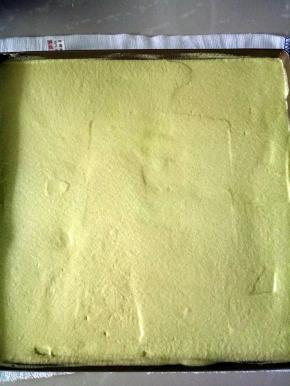 倒入烤盘，表面尽量抹平，震几下烤盘，放入预热好的烤箱160度25分钟（时间和温度根据自家烤箱调整）