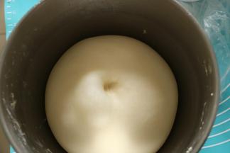 基础发酵两倍或者两倍半大，手指沾面粉戳孔，不回缩不反弹，即可结束发酵。