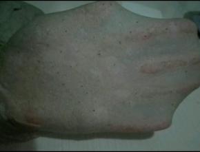 揉至薄膜，如图所示，将揉好的面团盖保鲜膜醒发15分钟