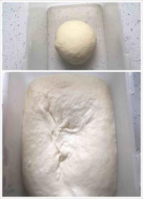 先将中种材料全部放在一起揉匀。放冰箱冷藏发酵12小时至3倍大。