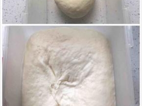 先将中种材料全部放在一起揉匀。放冰箱冷藏发酵12小时至3倍大。