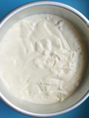 把蛋糕糊倒入模具，离桌边20公分震出气泡，放入提前预热到160度的烤箱中