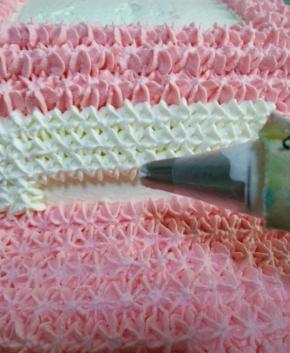 白色部分用小号星花嘴裱上白色奶油