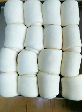 我这个大概半个多小时就发好了，看看，一个个白白胖胖的