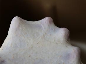继续揉至能拉出薄而坚韧的薄膜，即可进行基础发酵。