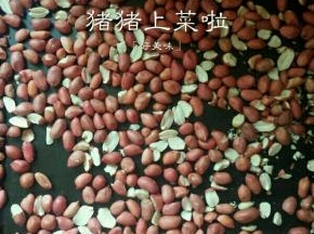 准备红皮花生200克，均匀的放到烤盘里，然后放进140度预热好的烤箱里，中层上下火烤30分钟，中间要翻几下花生，注意别烤糊