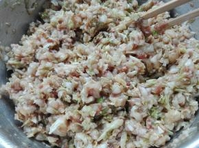 这时候白菜可以放进肉馅中搅拌均匀（过早放菜，白菜容易出汤，也可以适当用手箍一下白菜，将白菜箍干点，避免有的人包的不熟练，菜馅时间久容易出汤）