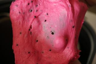 面团揉制能拉出薄而坚韧的薄膜，即完全阶段。