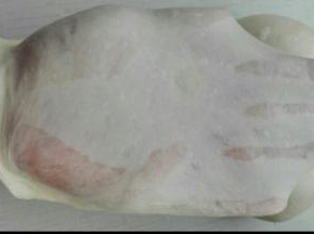 汤种加其它除黄油外所有材料混合揉出可以拉开厚厚的膜，加入软化黄油，揉至如图所示扩展状态