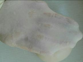 将凉好的烫种同除黄油外其它材料混合揉至可以拉出大片厚膜，加入软化黄油，揉至扩展状态，如图所示