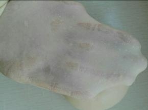 将凉好的烫种同除黄油外其它材料混合揉至可以拉出大片厚膜，加入软化黄油，揉至扩展状态，如图所示