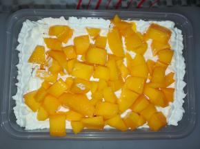 在淡奶油上面铺上一层芒果丁，重复步骤12-14