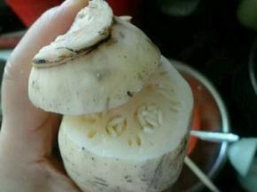 把藕头盖在上面，忽略偶头上面的黑皮哦，可不是脏