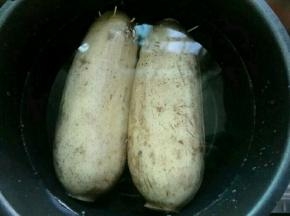 装水要漫过藕