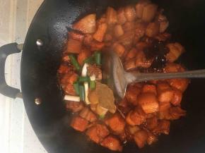 放入葱姜香料一起翻炒