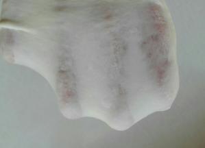 将汤种同所有主面团材料混合揉至扩展状态，如图所示