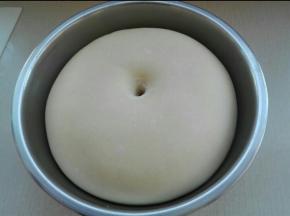 揉好的面团发酵至手指戳洞不回缩不塌陷即可