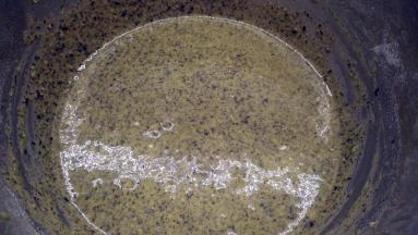 筛入低筋面粉，用手动打蛋器画“Z\