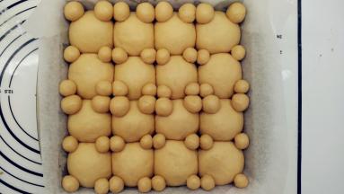 取出发酵中的面团，在泰迪熊的耳朵和手脚后面蘸一点水，摆在相应的位置上。