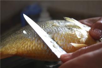 刮干净表面的鳞片，用刀逆着鳞片的生长方向刮干净