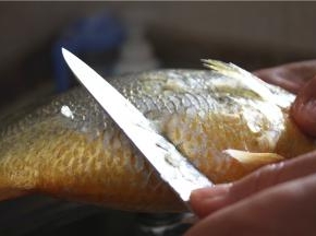 刮干净表面的鳞片，用刀逆着鳞片的生长方向刮干净