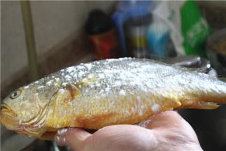 腌制好的鱼表面撒上淀粉