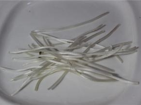 绿豆芽去头去根