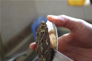 在市场上买新鲜的扇贝，用小刀撬开外壳