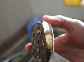 在市场上买新鲜的扇贝，用小刀撬开外壳