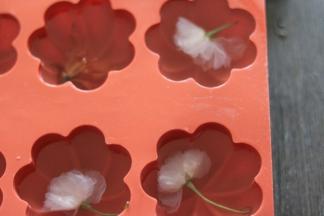 模具放入泡好得樱花，或者果粒，倒入冲泡好的步骤3白凉粉，静置一小时，或者冷藏1-2小时。